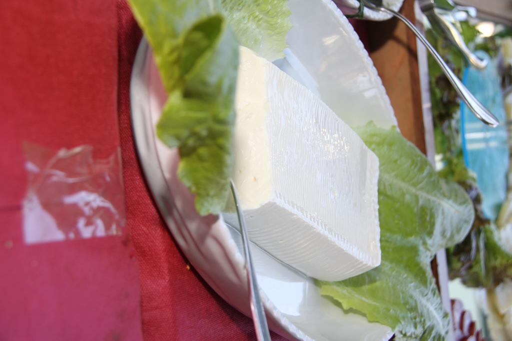 Hotel Garden كاتوليكا المظهر الخارجي الصورة